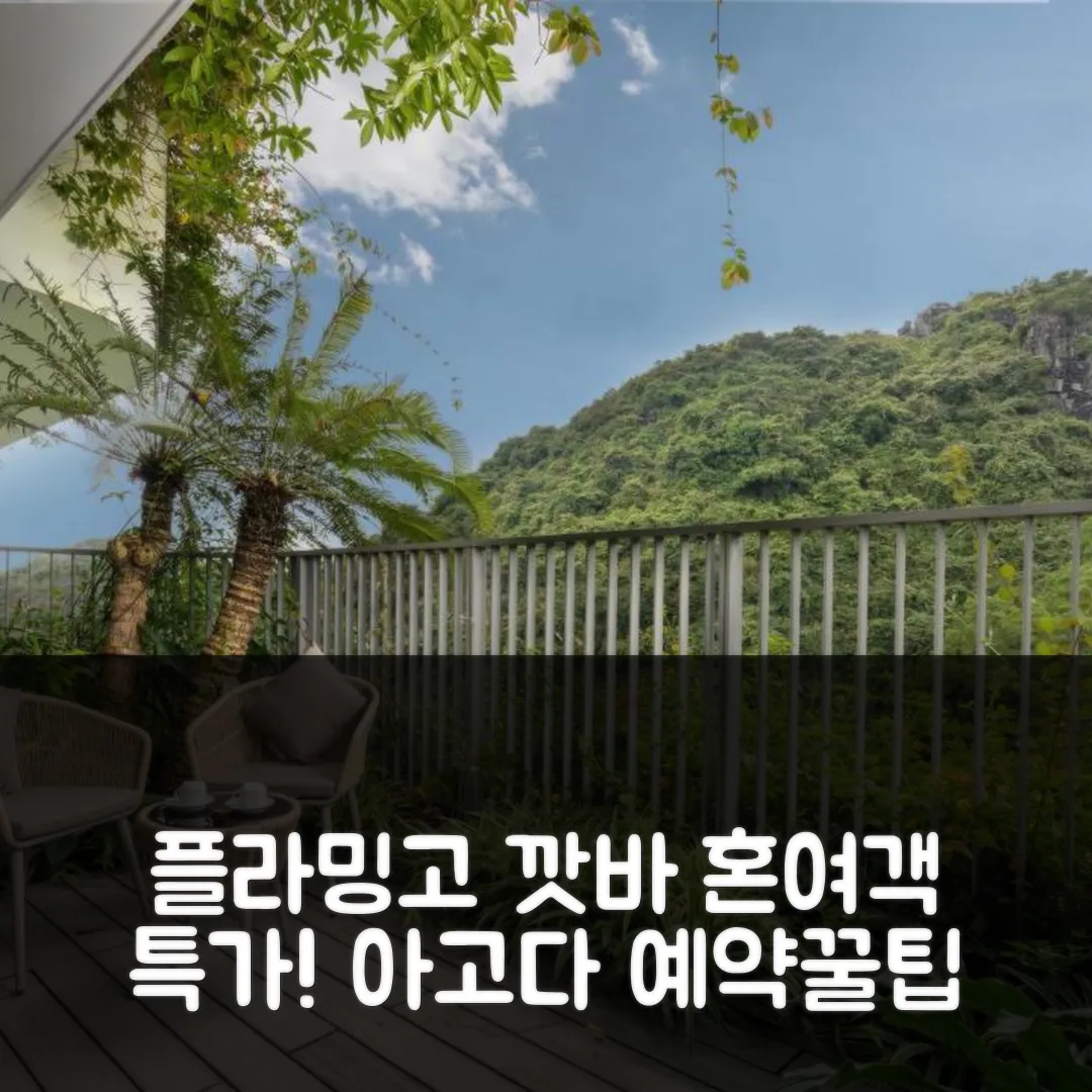 플라밍고 리조트 캣바 깟바 섬 후기! 나홀로 여행객 특가 예약