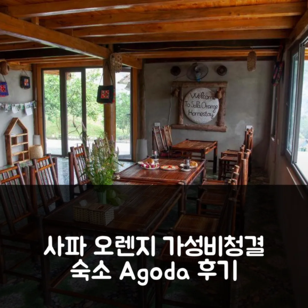 사파 오렌지 홈스테이 사파 후기! 청결 앤 가성비 숙소