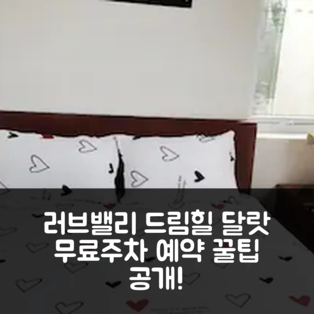 러브밸리 드림힐, 달랏 무료주차 후기 앤 예약 꿀팁