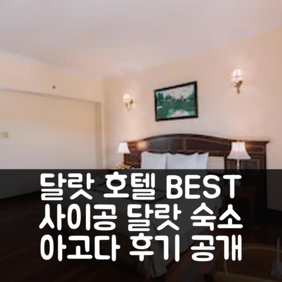 사이공 달랏 호텔 달랏 위치 좋은 숙소 후기