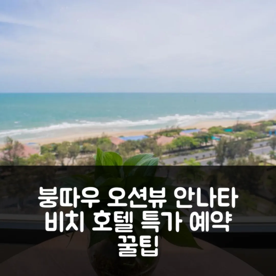 안나타 비치 호텔 붕따우 오션뷰 후기 앤 특가 예약 꿀팁