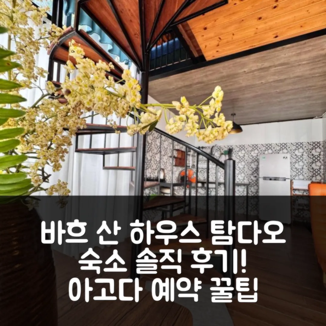 바흐 산 하우스. Nha Gac Lung 탐다오 (빈푹) 숙소 후기