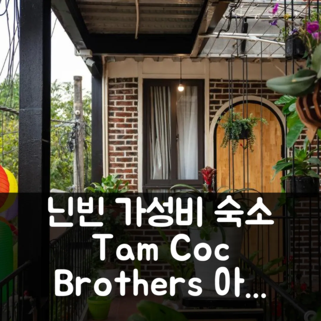 Tam Coc Brothers Homestay 닌빈 후기 앤 가성비 예약 꿀팁